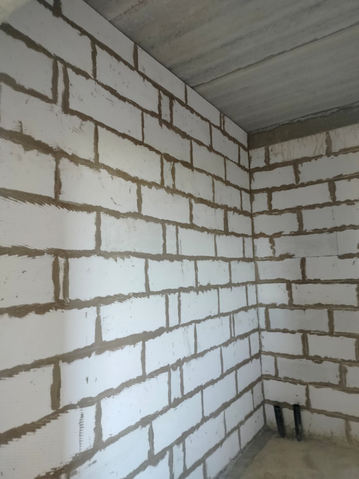 изображение проекта